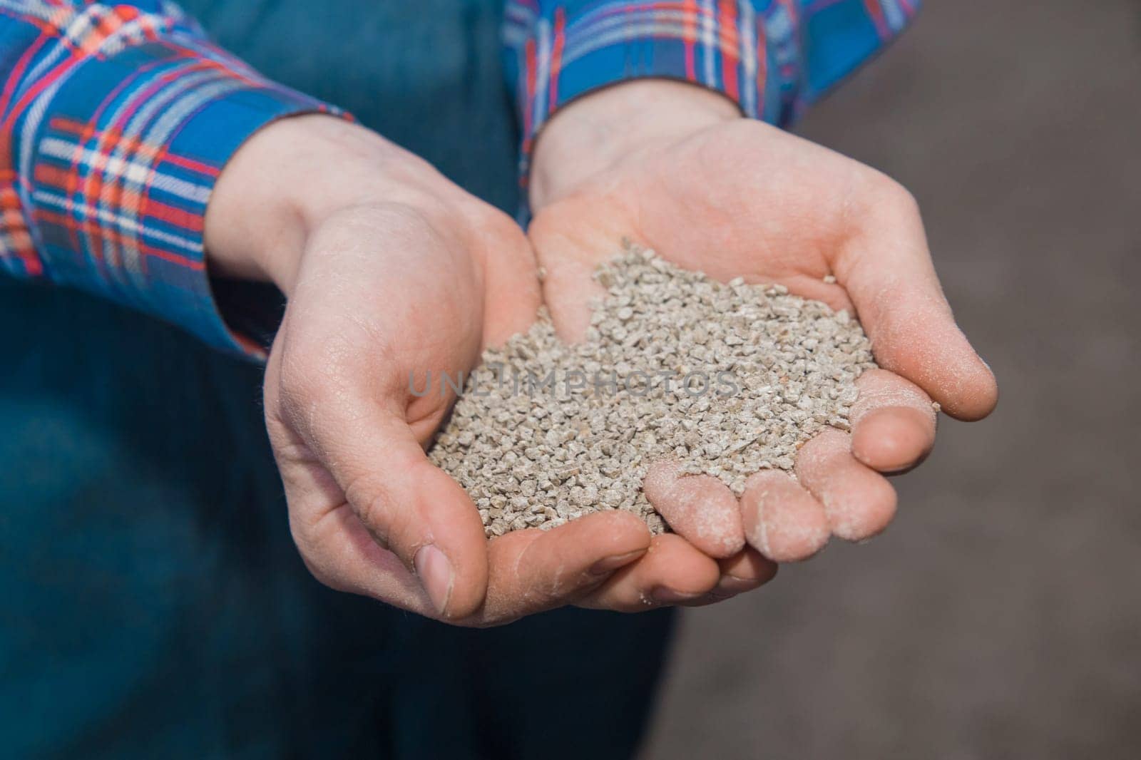 Farmer's hands close-up holding feed, food for birds and chickens. Household compound.