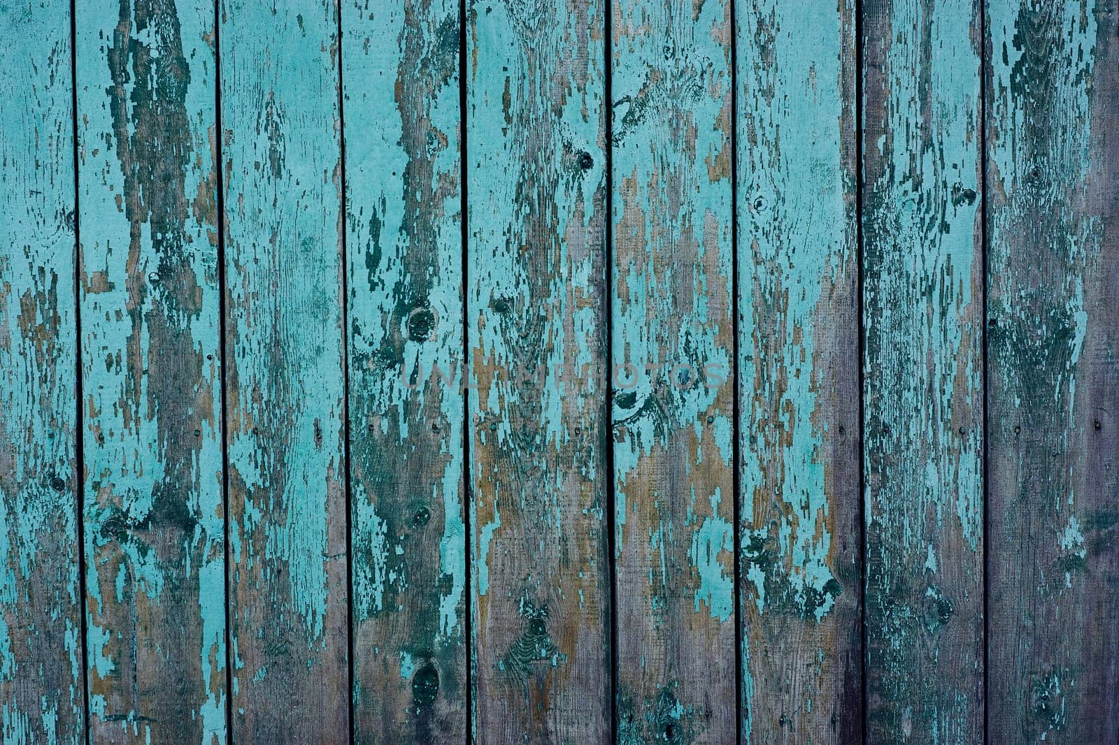 A blue wooden fence made of old cracked painted boards. Cracked blue paint on the boards