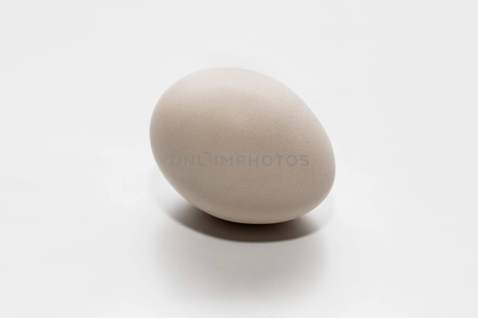 White chicken egg on light bright background healthy food breakfast ingredient by AYDO8