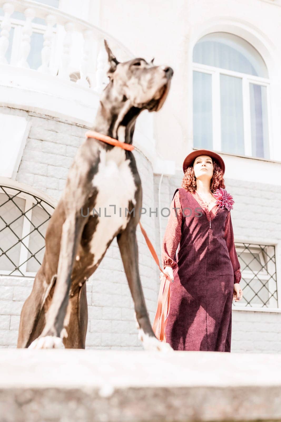 A photo of a woman and her Great Dane walking through a town, taking in the sights and sounds of the urban environment.