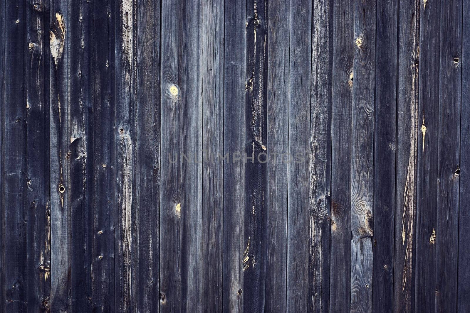 Gray wood paneling of the barn walls with a wide texture. Old solid wood sluts on a rustic shabby gray background.Old vintage background with wood texture