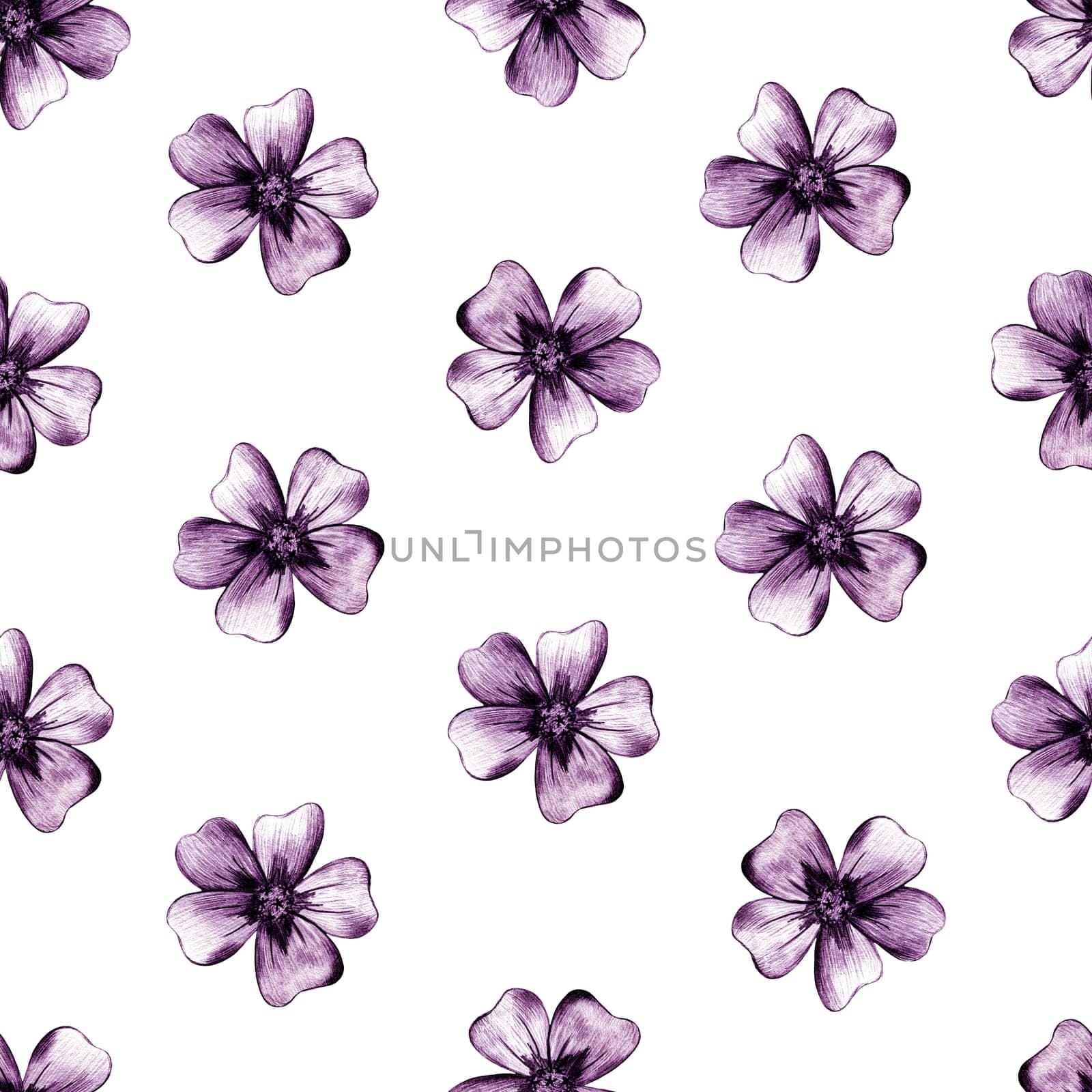 Seamless Pattern with Hand-Drawn Pink Flower. White Background with Thin-leaved Lavender Marigolds for Print, Design, Holiday, Wedding and Birthday Card.