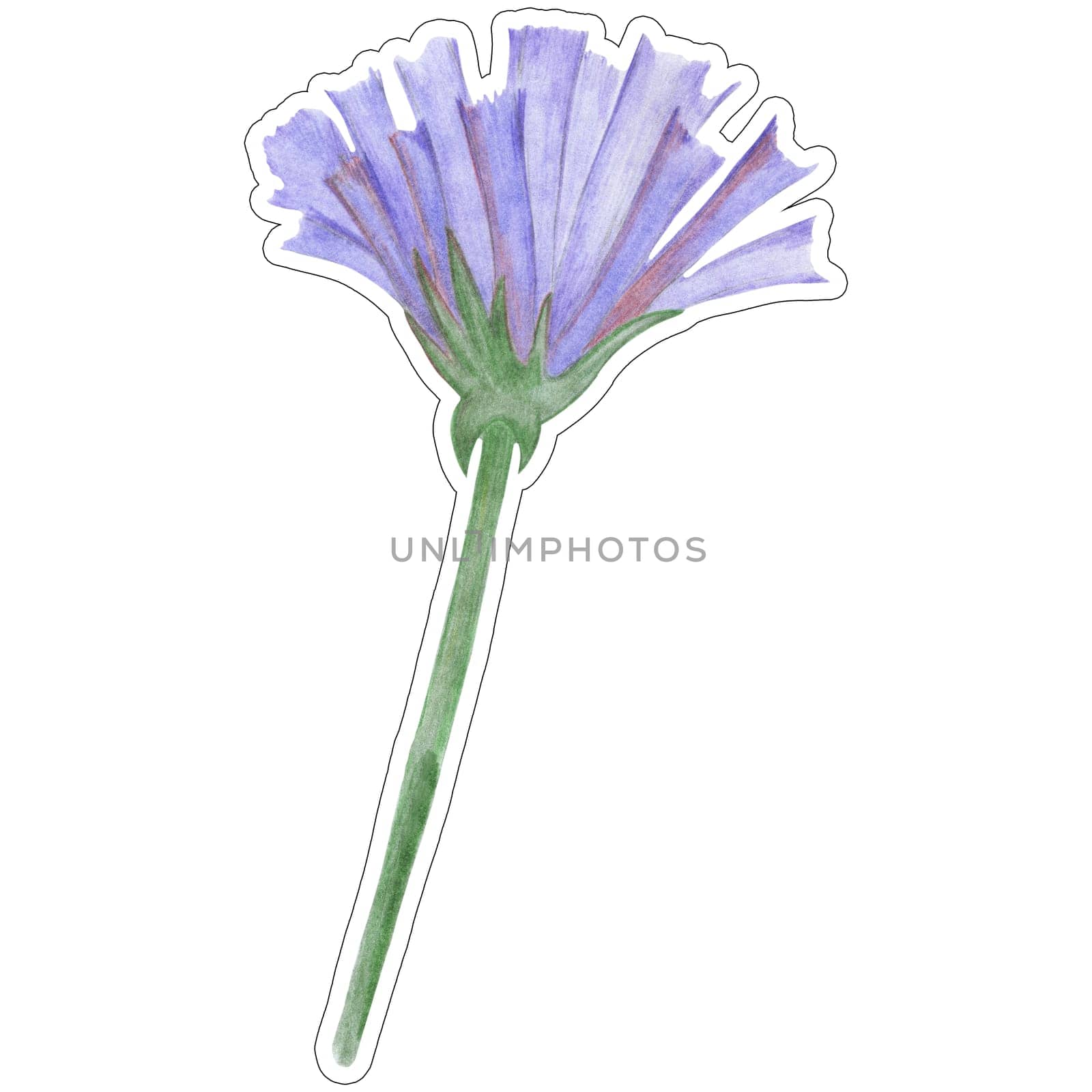 Hand Drawn Blue Flower Sticker Isolated on White Background. by Rina_Dozornaya