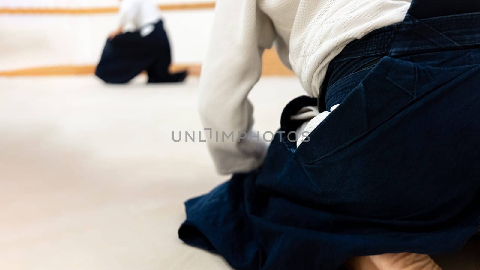Practicing aikido martial art on a tatami. Greeting gesture.