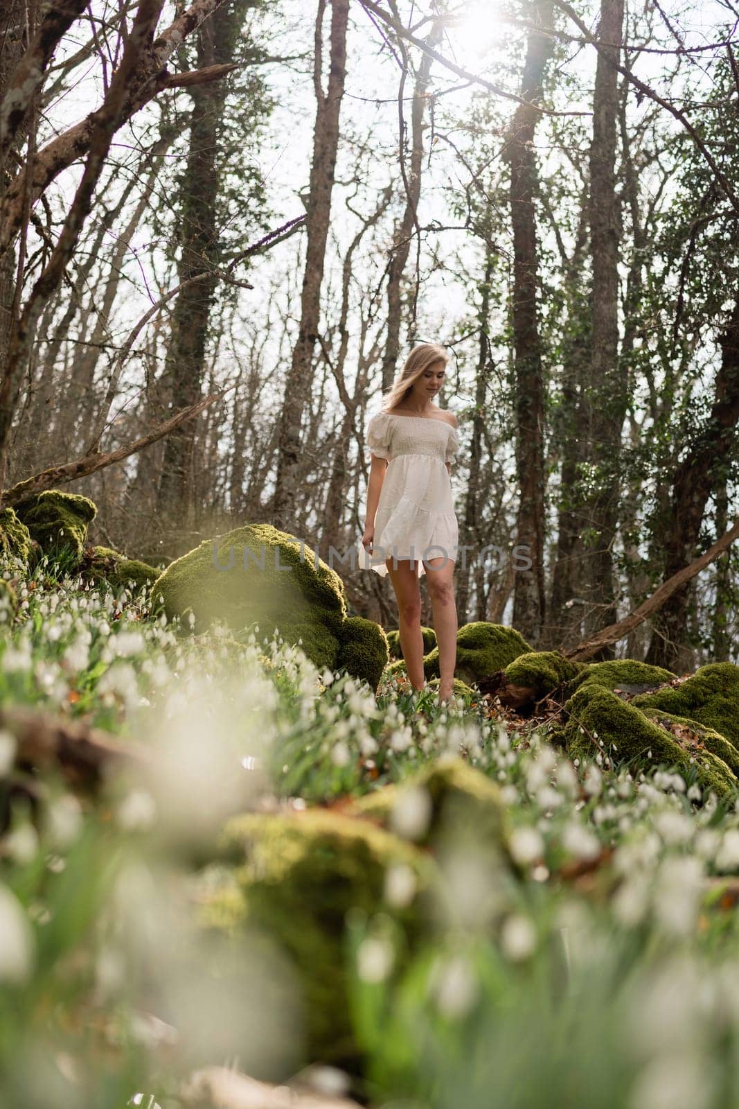 Snowdrops galanthus blonde. A girl in a white dress stands on a meadow with snowdrops in a spring forest.