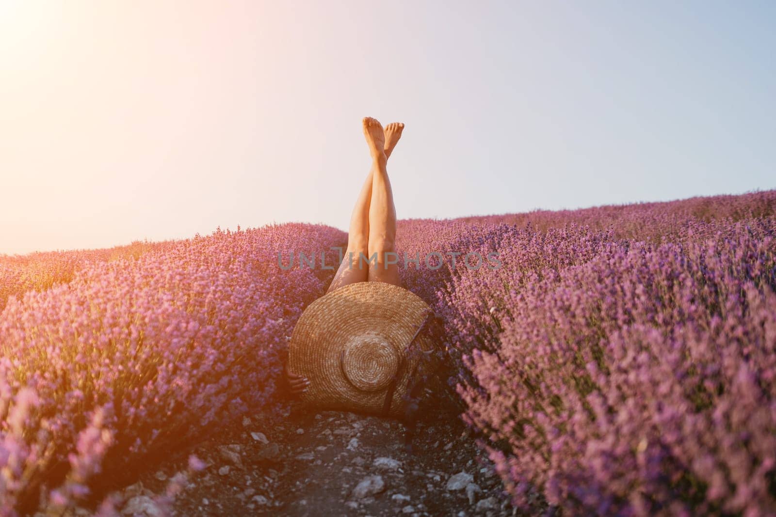 Selective focus. The girls legs stick out of the bushes, warm sunset light. Bushes of lavender purple in blossom, aromatic flowers at lavender fields.