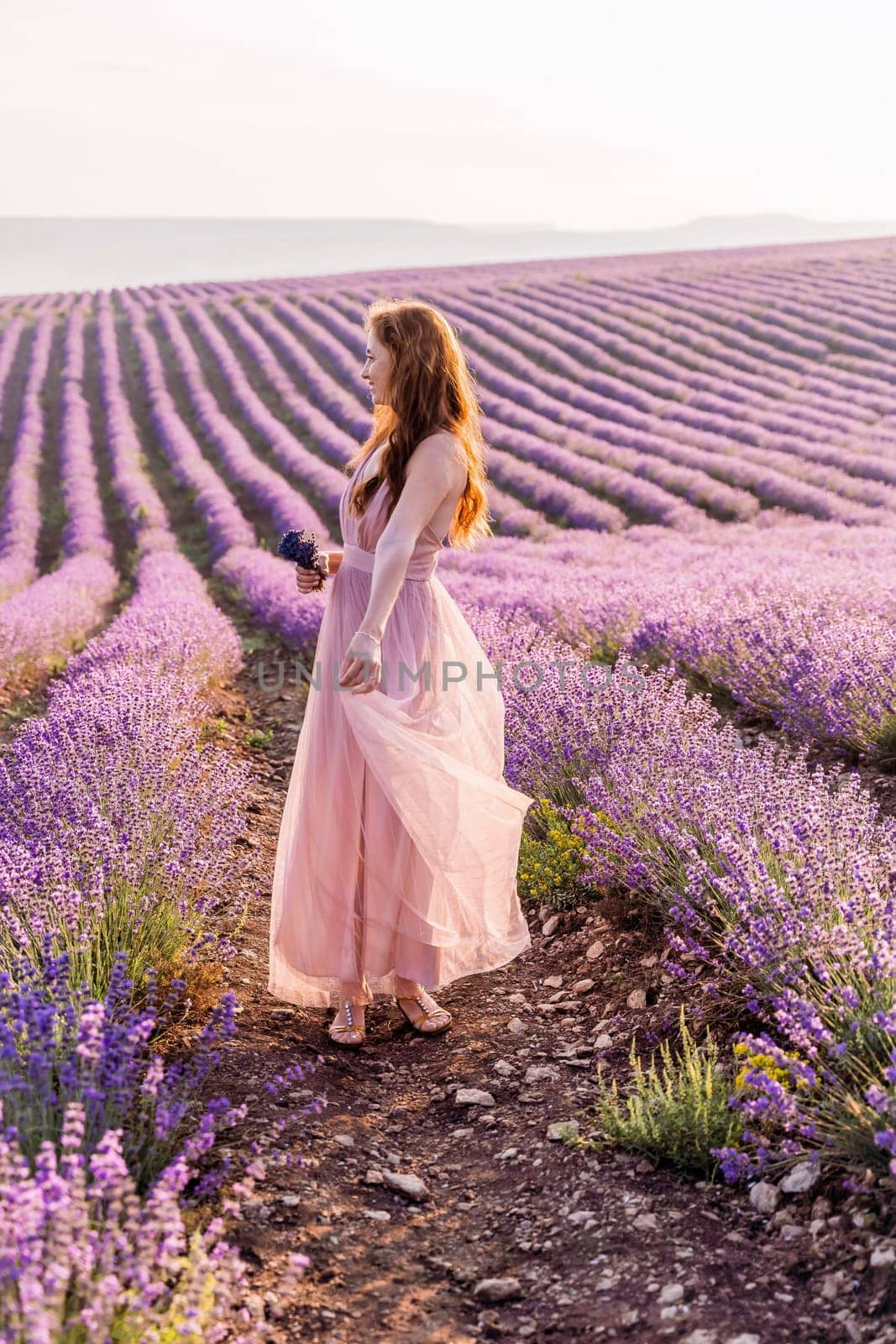 Woman lavender field sunset. Romantic woman walks through the lavender fields. illuminated by sunset sunlight. She is wearing a pink dress with