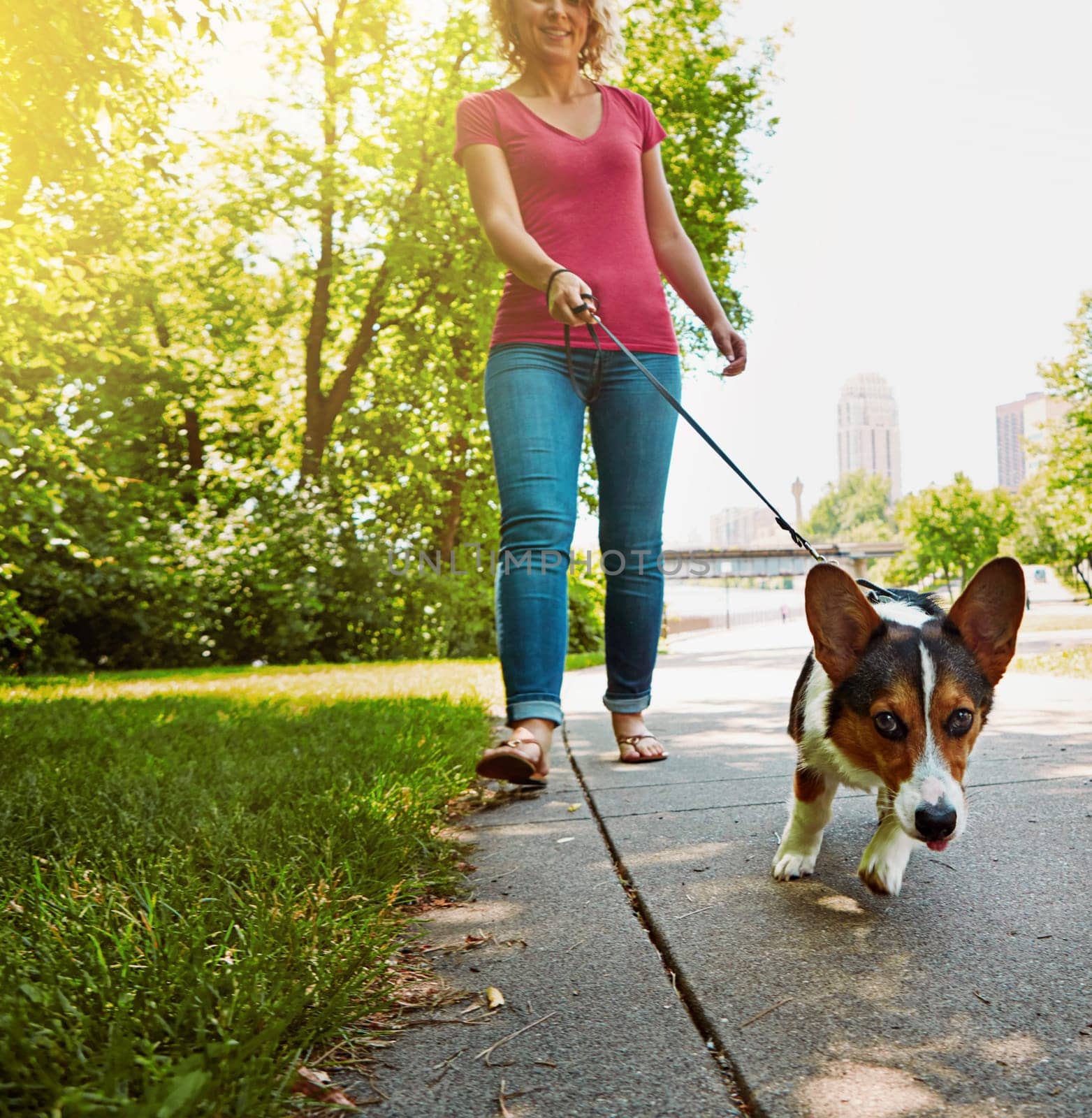 Taking the right steps towards a healthy and happy pet. an attractive young woman walking her dog in the park