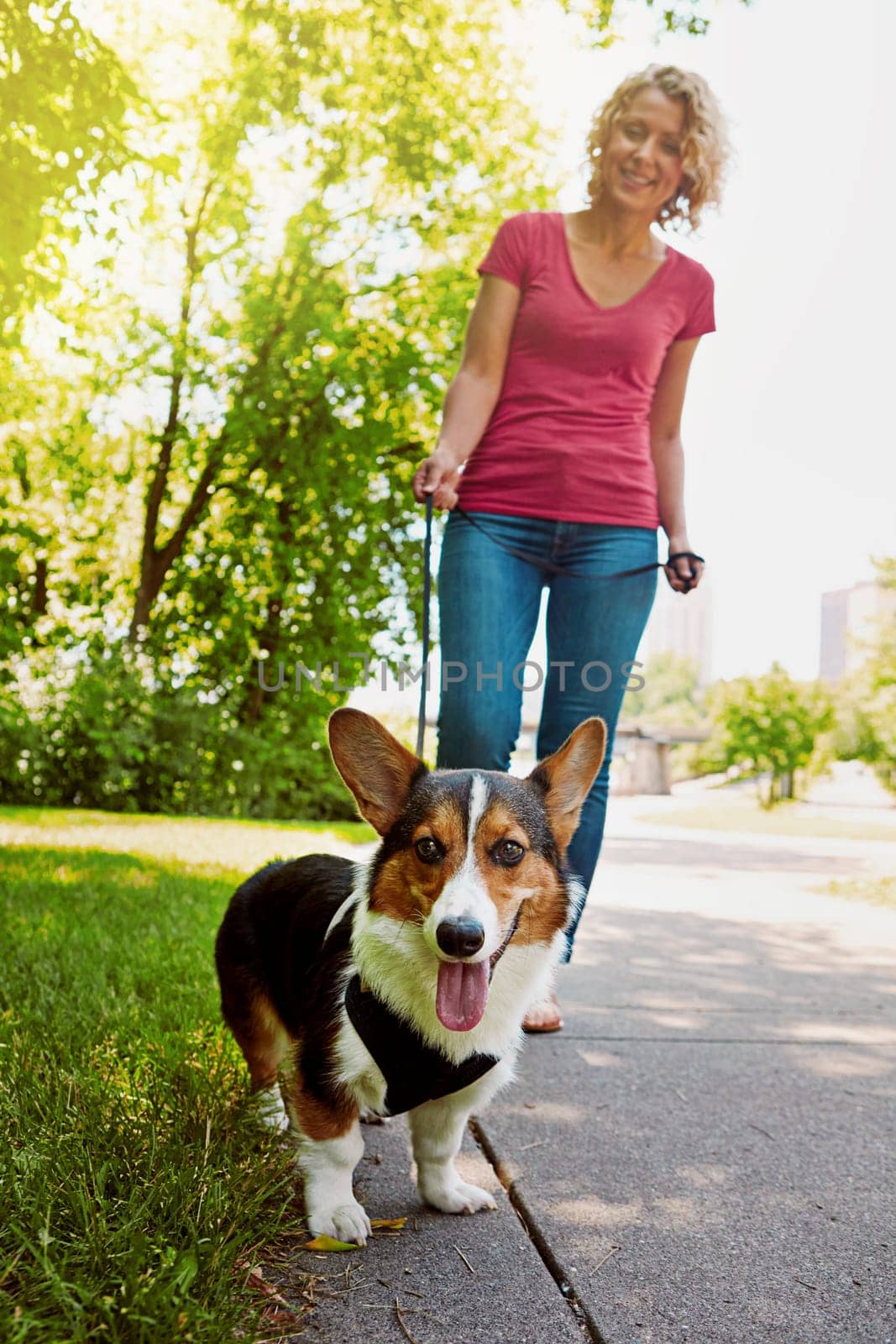 An active pet is a healthy pet. an attractive young woman walking her dog in the park. by YuriArcurs