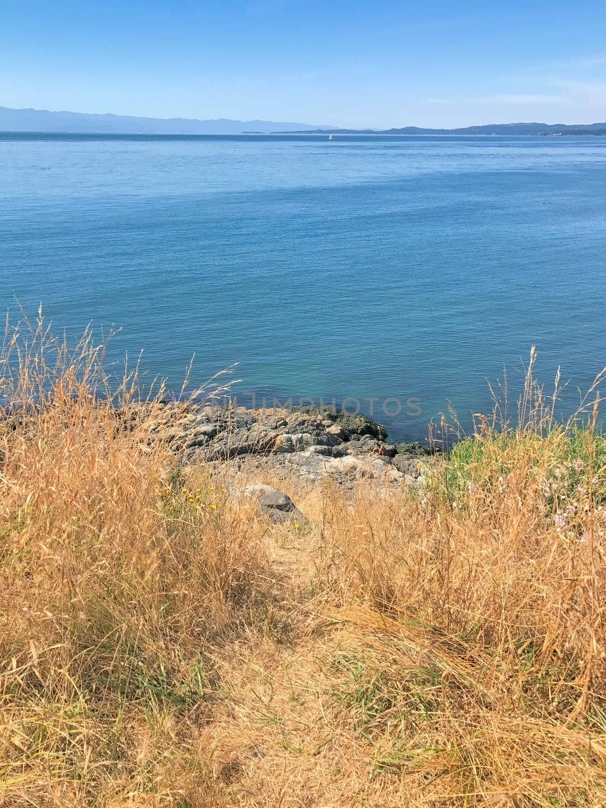 Seascape viewe at the bay on Pacific ocean from Vancouver island.