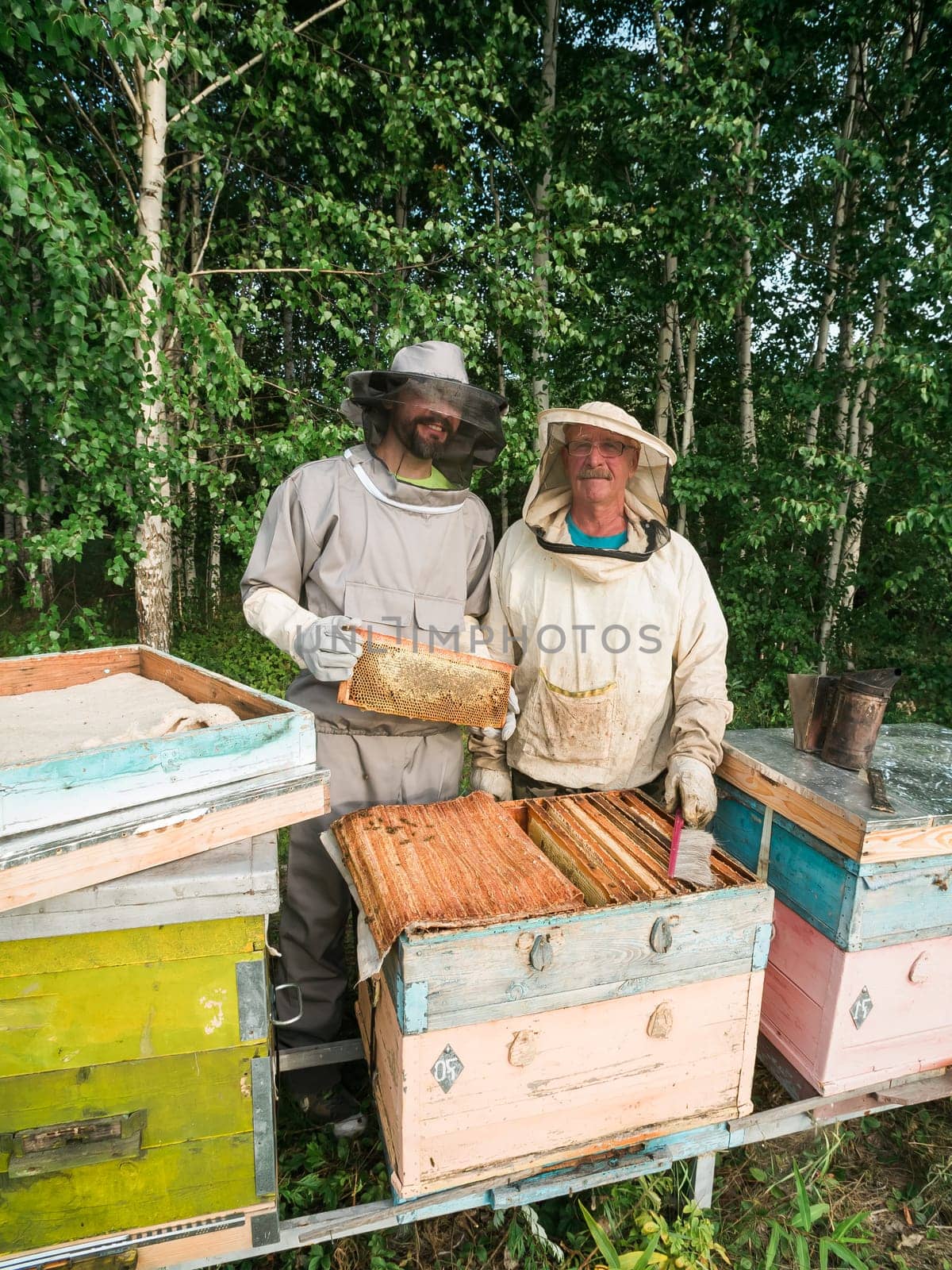 Portrait of two male beekeeper working in an apiary near beehives with bees. Collect honey. Beekeeper on apiary. Beekeeping