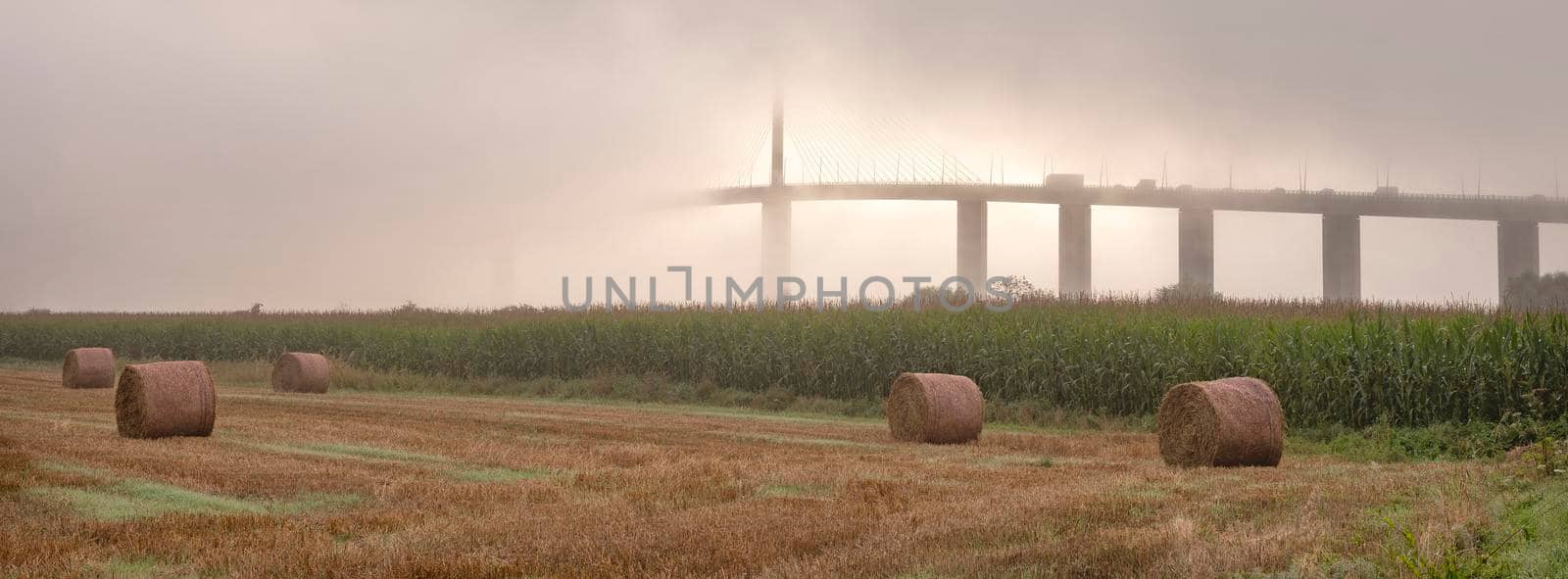 meadow landscape and pont de brotonne over river seine in french normandy during misty sunrise