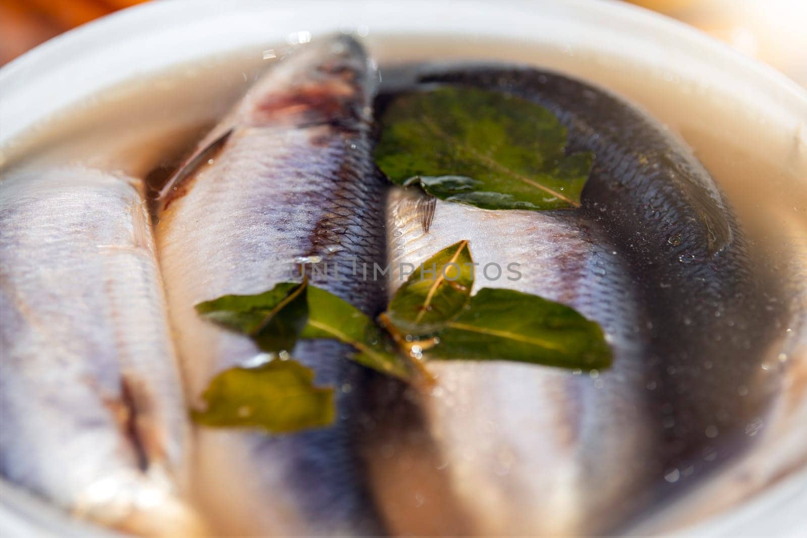 The process of salting or pickling herring. Large herrings are salted in a marinade with spices. High quality photo.
