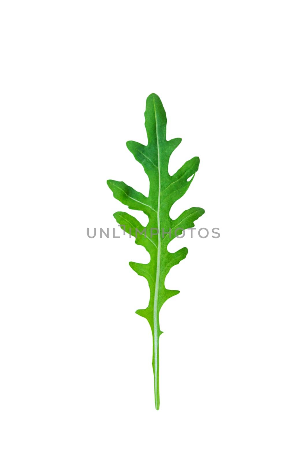 Arugula leaves isolate on white background. Selective focus. Food.