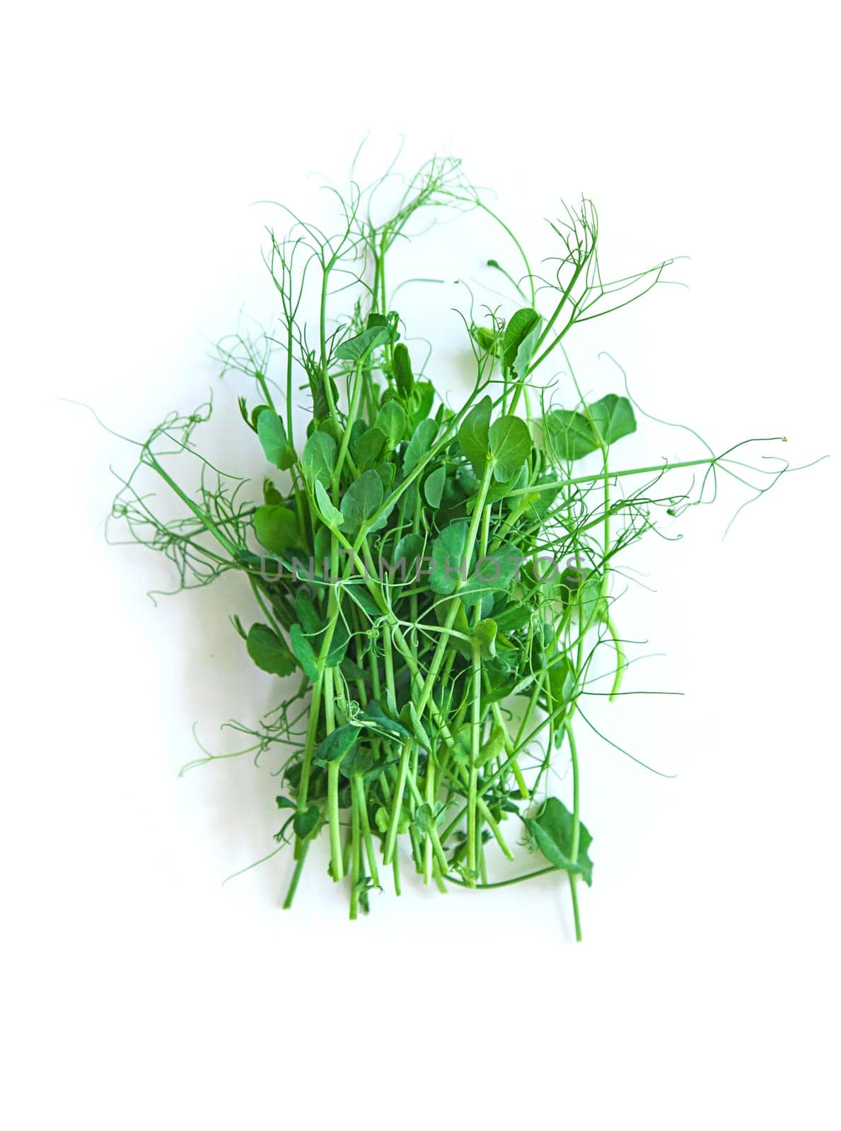 Pea microgreens isolate on white background. Selective focus. Food.