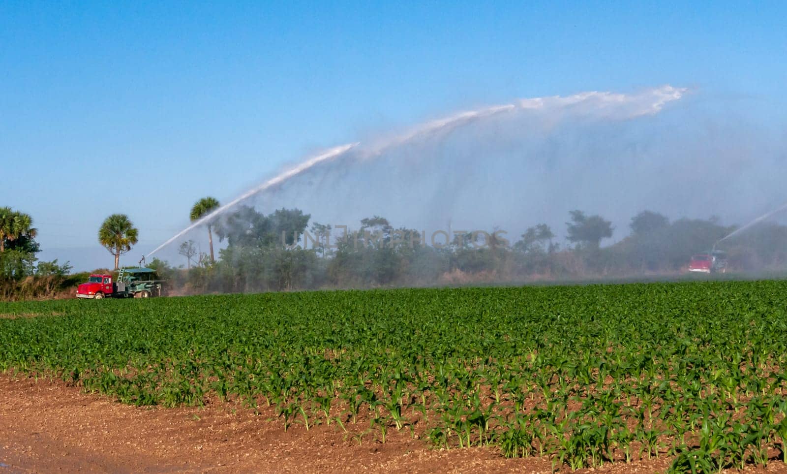 USA, FLORIDA - NOVEMBER 30, 2011: a fire truck spraying water on a field of corn, Florida