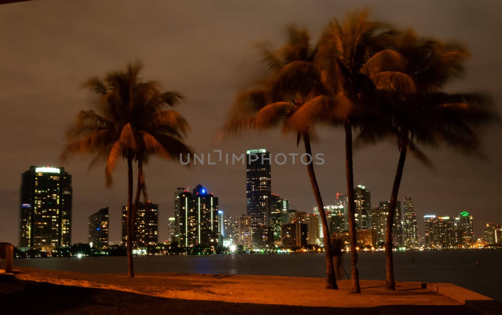 USA, FLORIDA - NOVEMBER 30, 2011: view of the night glowing city on the coast of the Gulf of Mexico, palm trees in the foreground, Florida