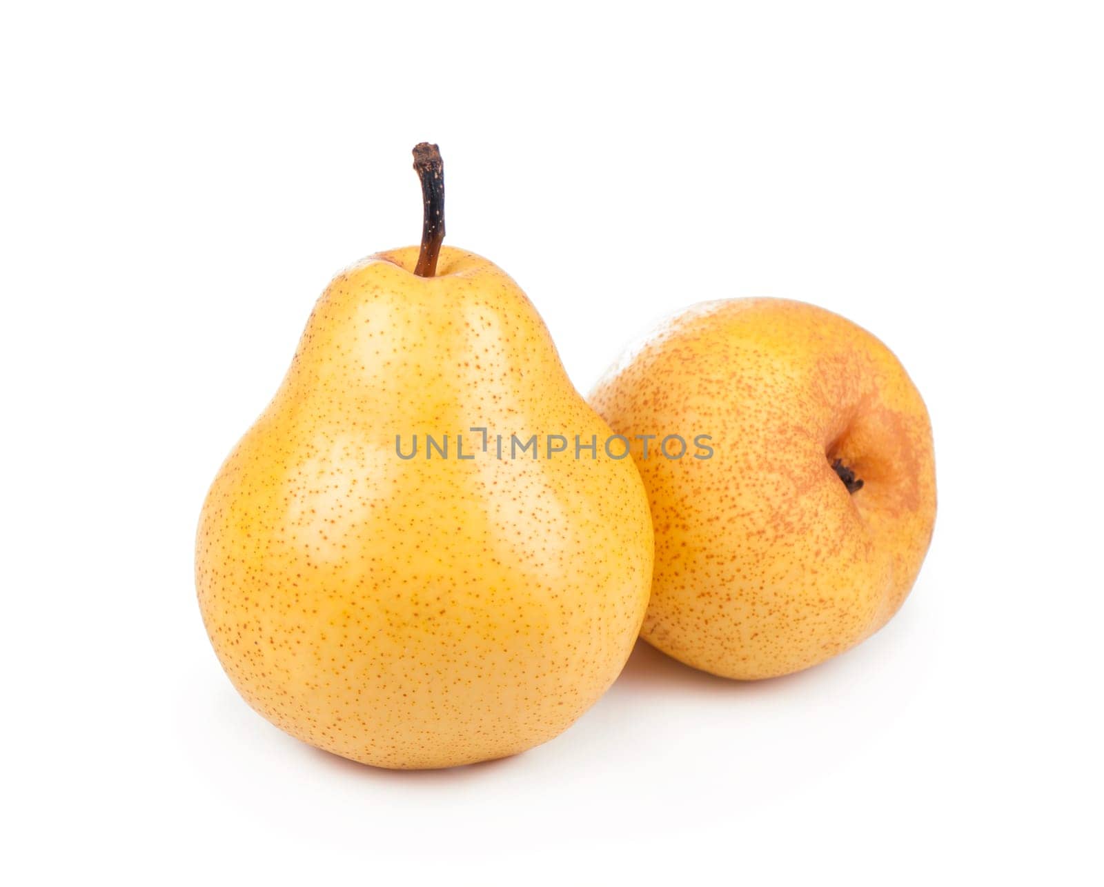 Fresh ripe fruits of pears isolated on white background by aprilphoto