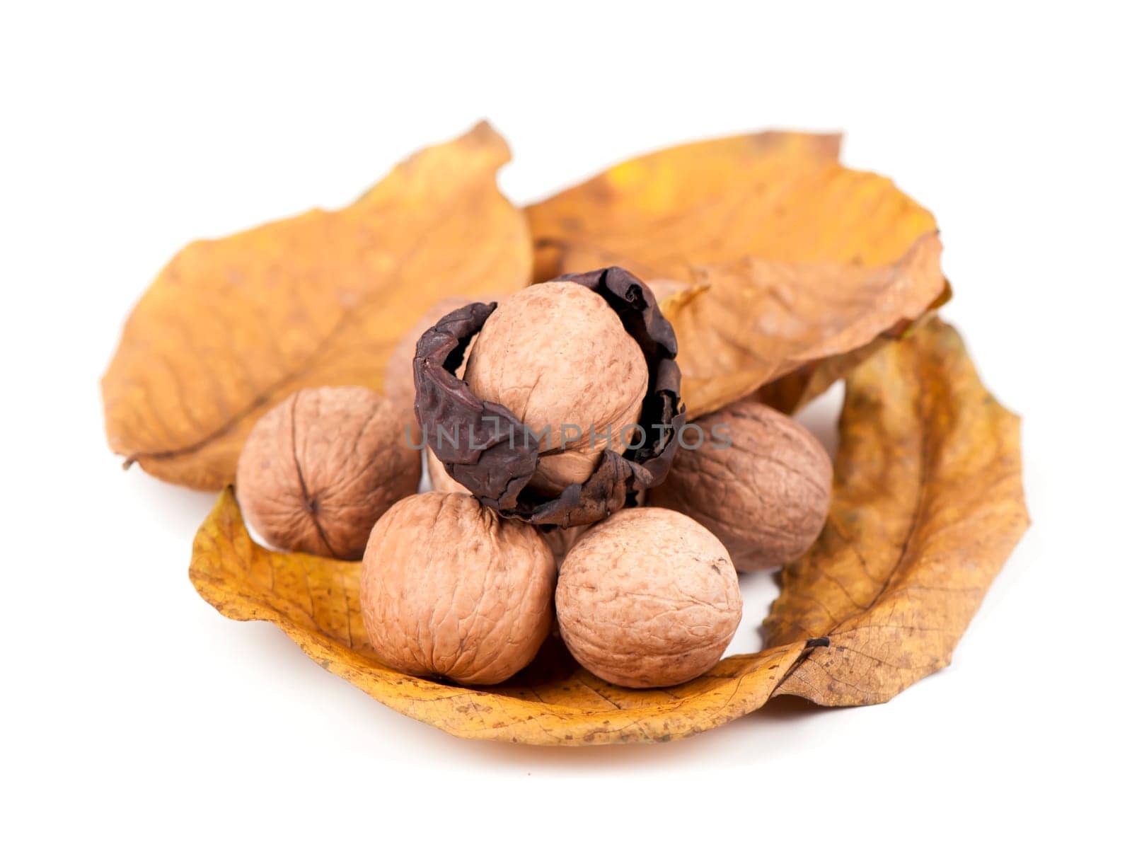 Fresh ripe Walnut with dried leaves isolated on a white background. by aprilphoto