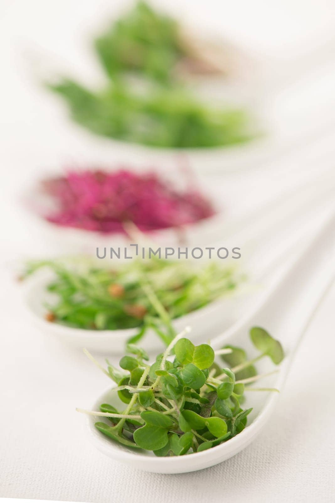 The concept of a healthy diet, the cultivation of microgreens - red amaranth, mustard, arugula, peas, cilantro in white spoons on a white background by aprilphoto