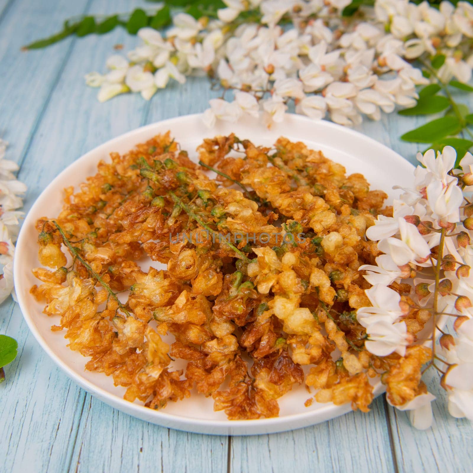 Acacia flowers fritters, Blossoming acacia with leafs, , Robinia pseudoacacia, White acacia, High quality photo