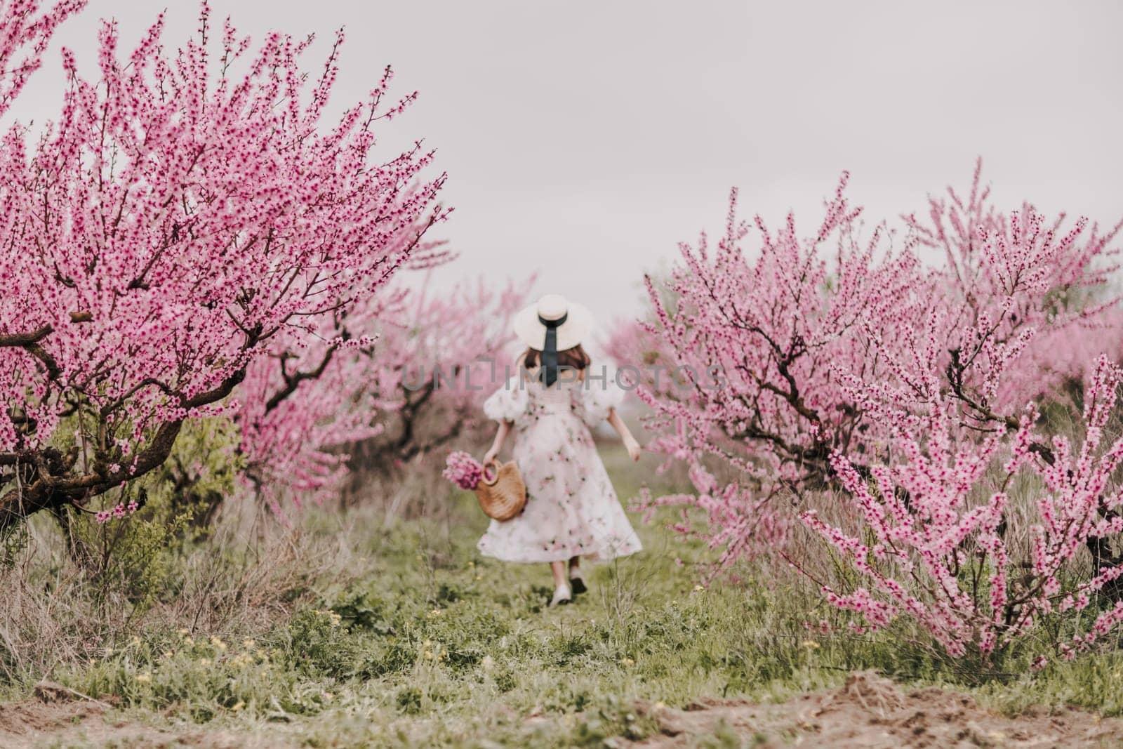 Woman blooming peach orchard. Against the backdrop of a picturesque peach orchard, a woman in a long dress and hat enjoys a peaceful walk in the park, surrounded by the beauty of nature. by Matiunina