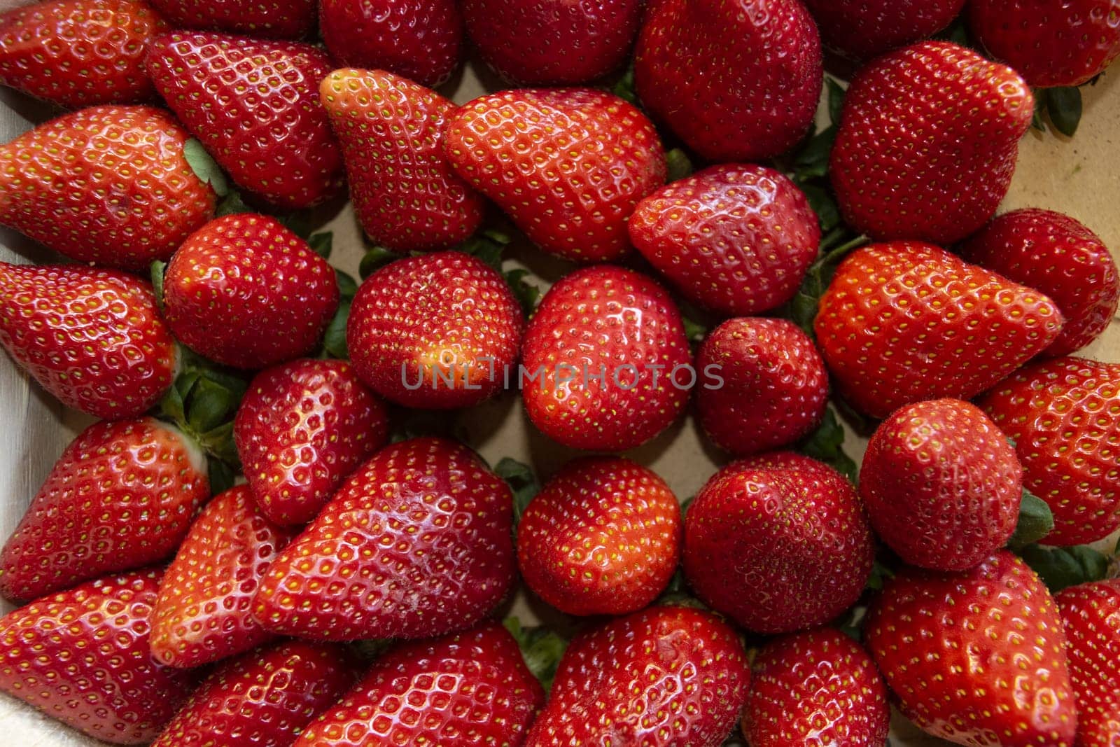 freshly picked ripe and fresh strawberries