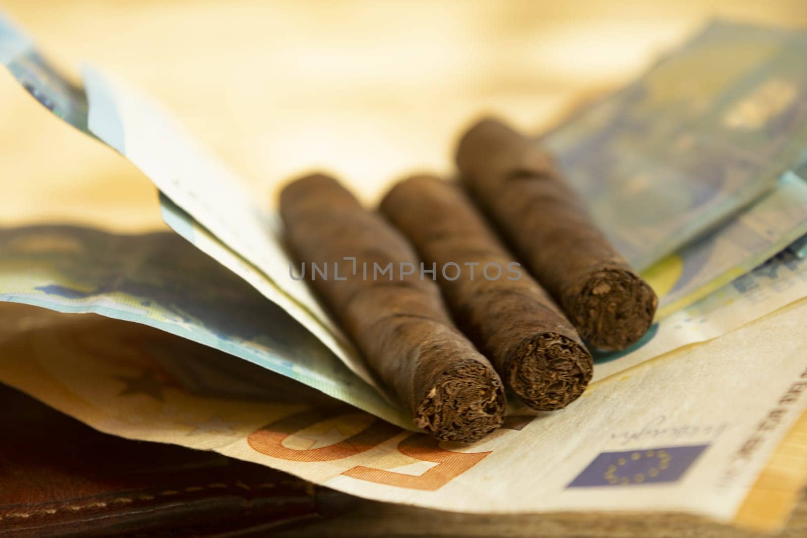 smoking costs concept with cigars leaning on banknotes