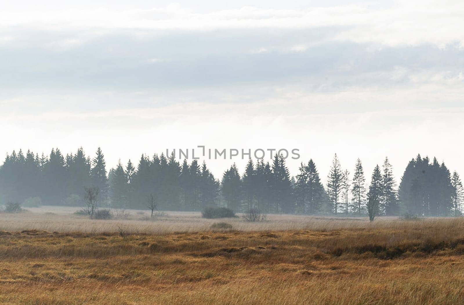 Beautiful High Fens, Belgium pictures