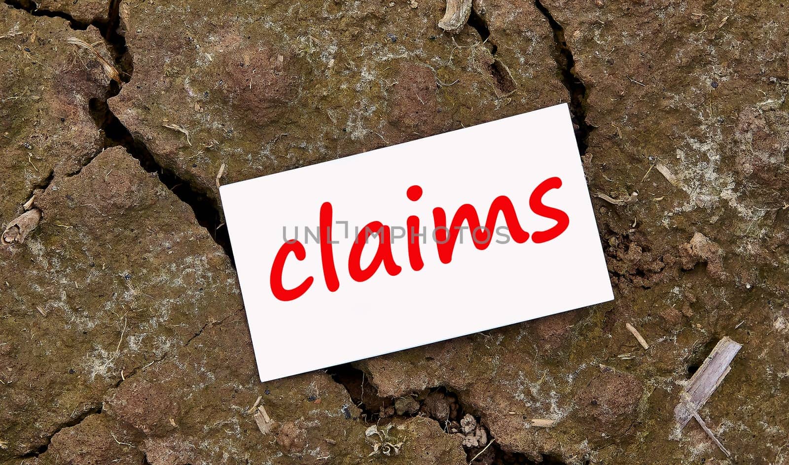 the claims card lies on dry, cracked ground. the concept of making a claim.