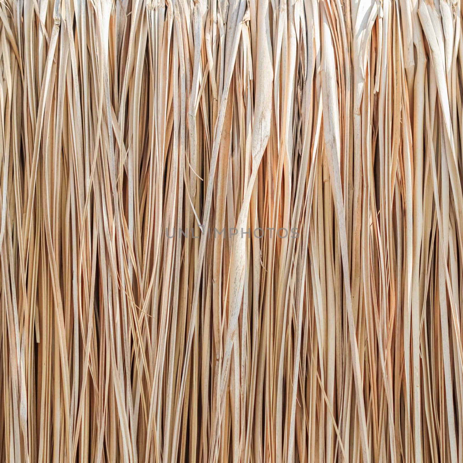 Close up of thatch roof or wall background. Tropical roofing on beach. High quality photo