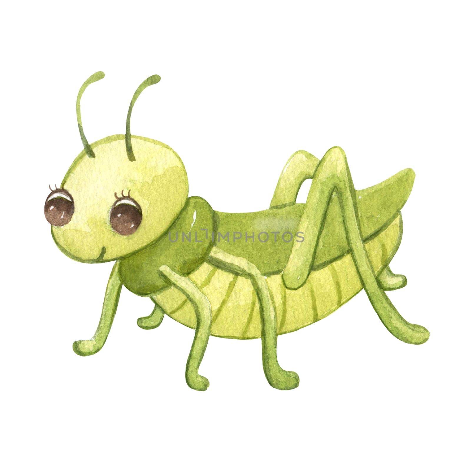 Cute smiling grasshopper isolated on white. Funny insect for children. Watercolor cartoon illustration by ElenaPlatova