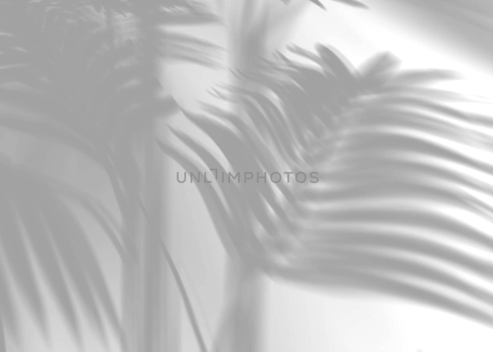 Shadow from palm leaves, overlay effect. Realistic gray shadow on white background. Applicable for product presentation, photos, backdrop. Sun light. 3D render