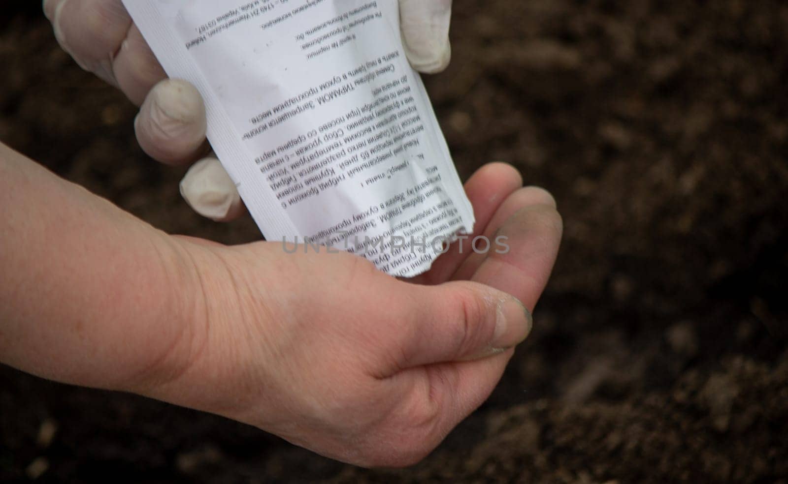 close-up of a farmer's hand sowing cabbage. Selective focus