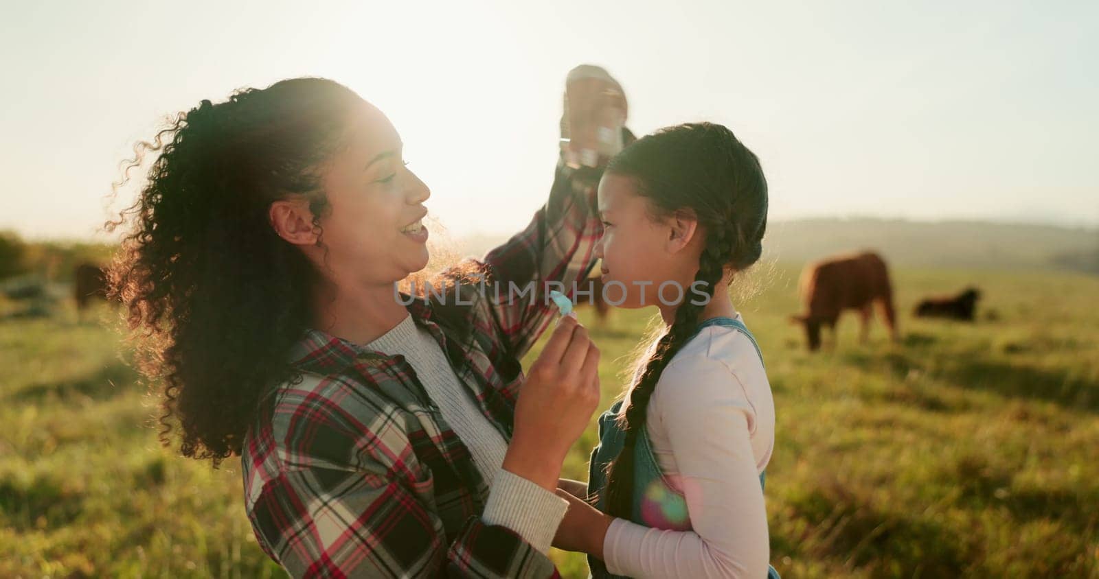 Cows, farm and mother bonding with child, fixing hair clip and standing on field. Farming, farm animals and mom with daughter in the morning enjoying sunrise in countryside showing love and affection.