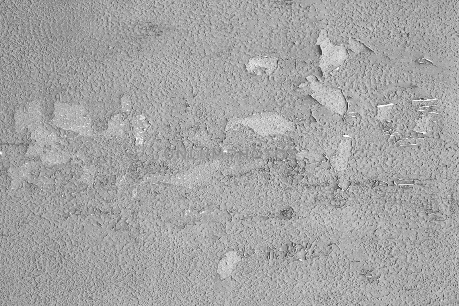 Texture of peeling old gray paint on the wall.