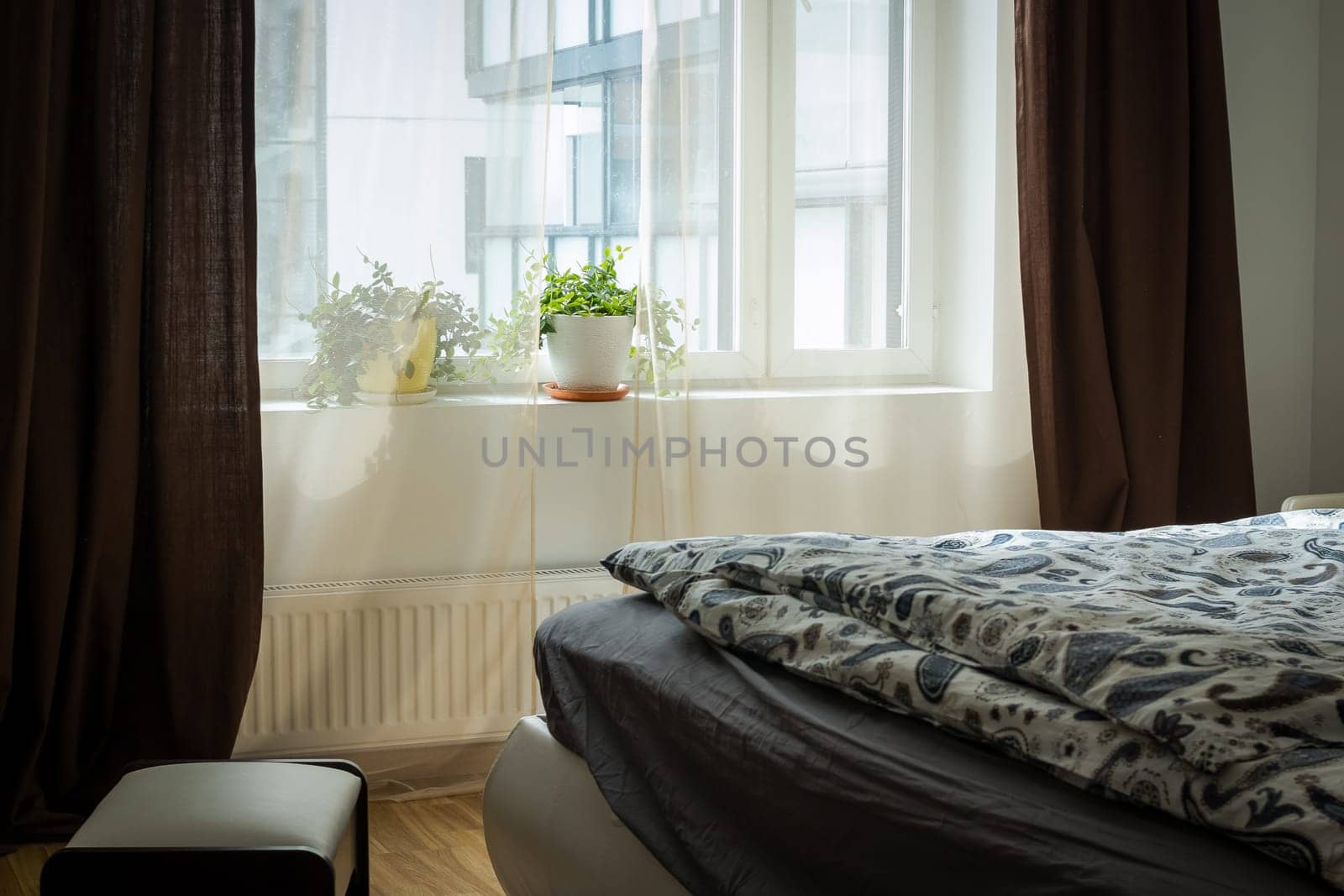 Bright bedroom interior with wide bed. interior apartment, loft furnished, bedroom.comfortable modular lounge suite. Modern interior houseplant, house plant