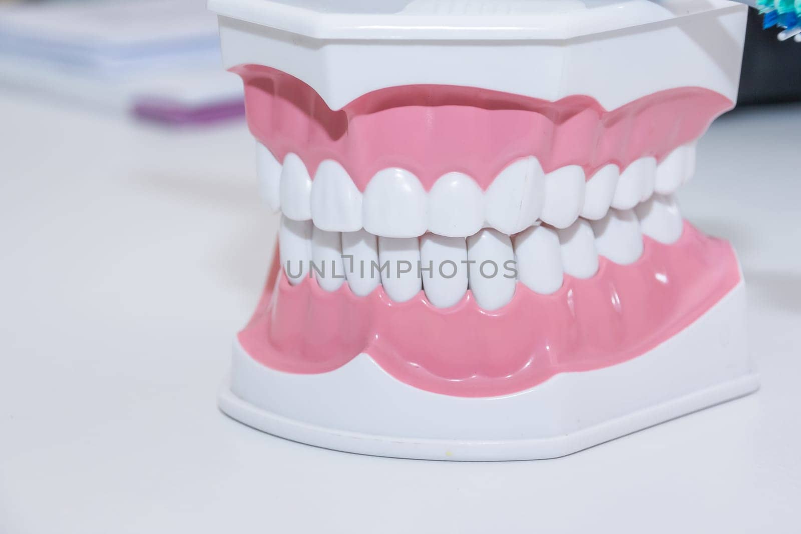 Clean teeth denture, dental cut of the tooth, tooth model, dentist's office. Tooth care concept