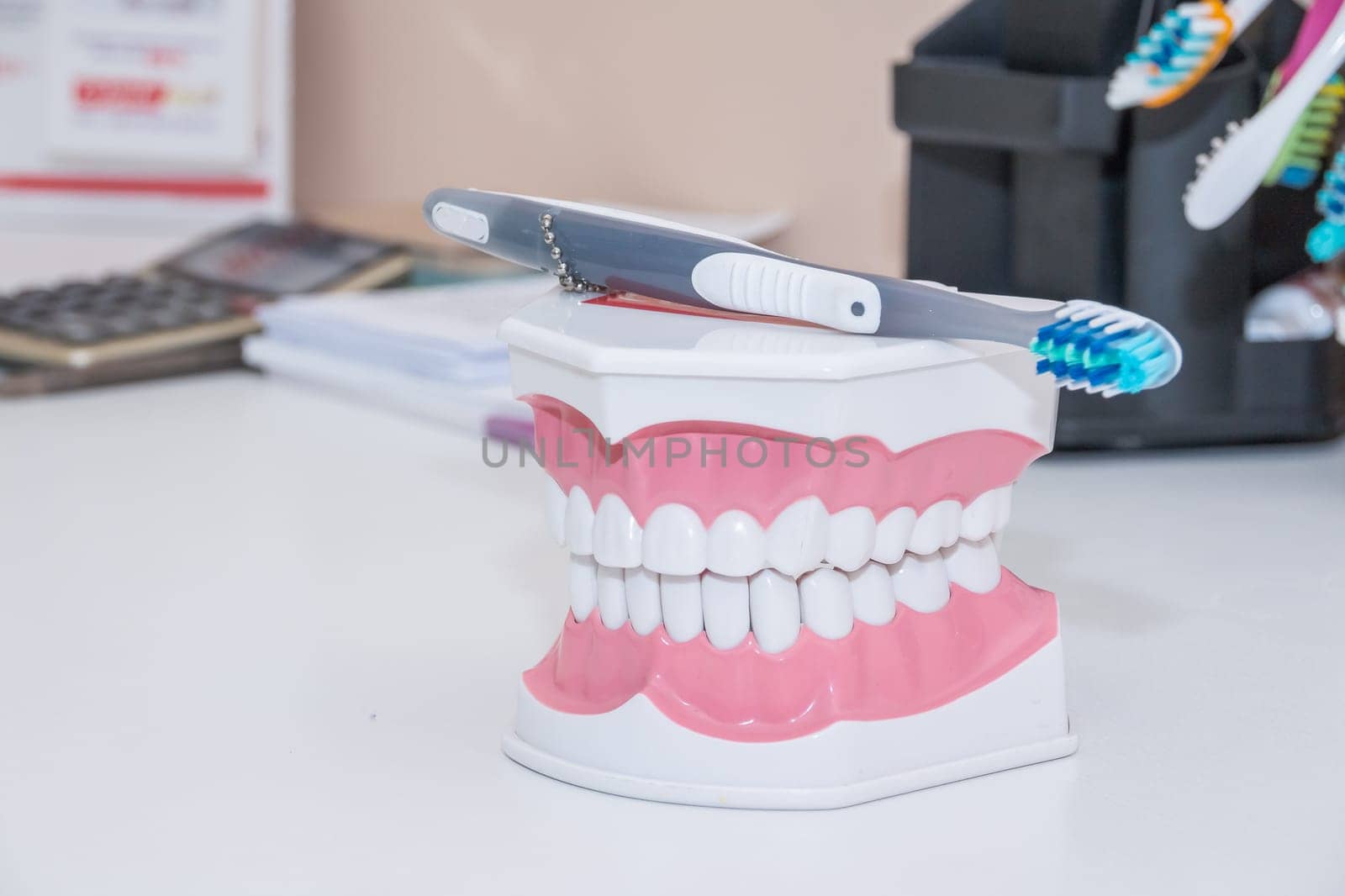 toothbrush, Clean teeth denture, dental cut of the tooth, tooth model, and dentistry instruments in dentist's office. Healthy care concept by YuliaYaspe1979