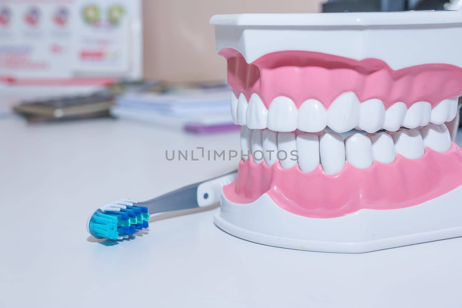 teeth model and dental tool on white background.