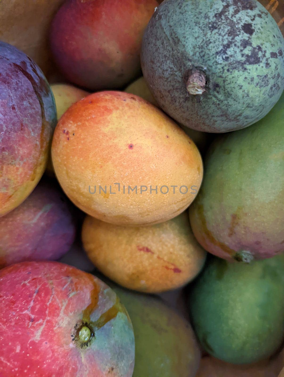 A close-up of sun-kissed Hayden mangoes of different sizes in bag.