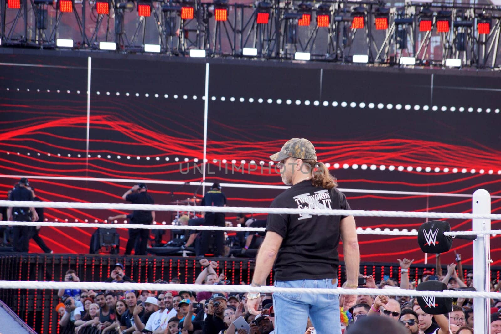 Wrestlemania 31: Shawn Michaels Makes His Presence Felt by EricGBVD