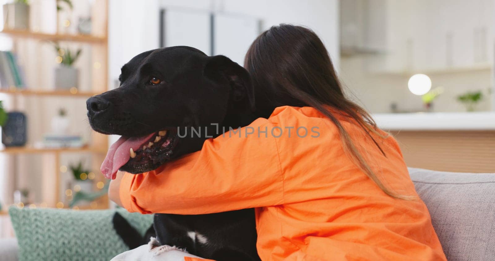 Woman, dog and hugging on sofa together in living room, fun, love and happy friendship with pets at home. Friends, quality time with pet and happiness, relax and petting animal on couch in apartment