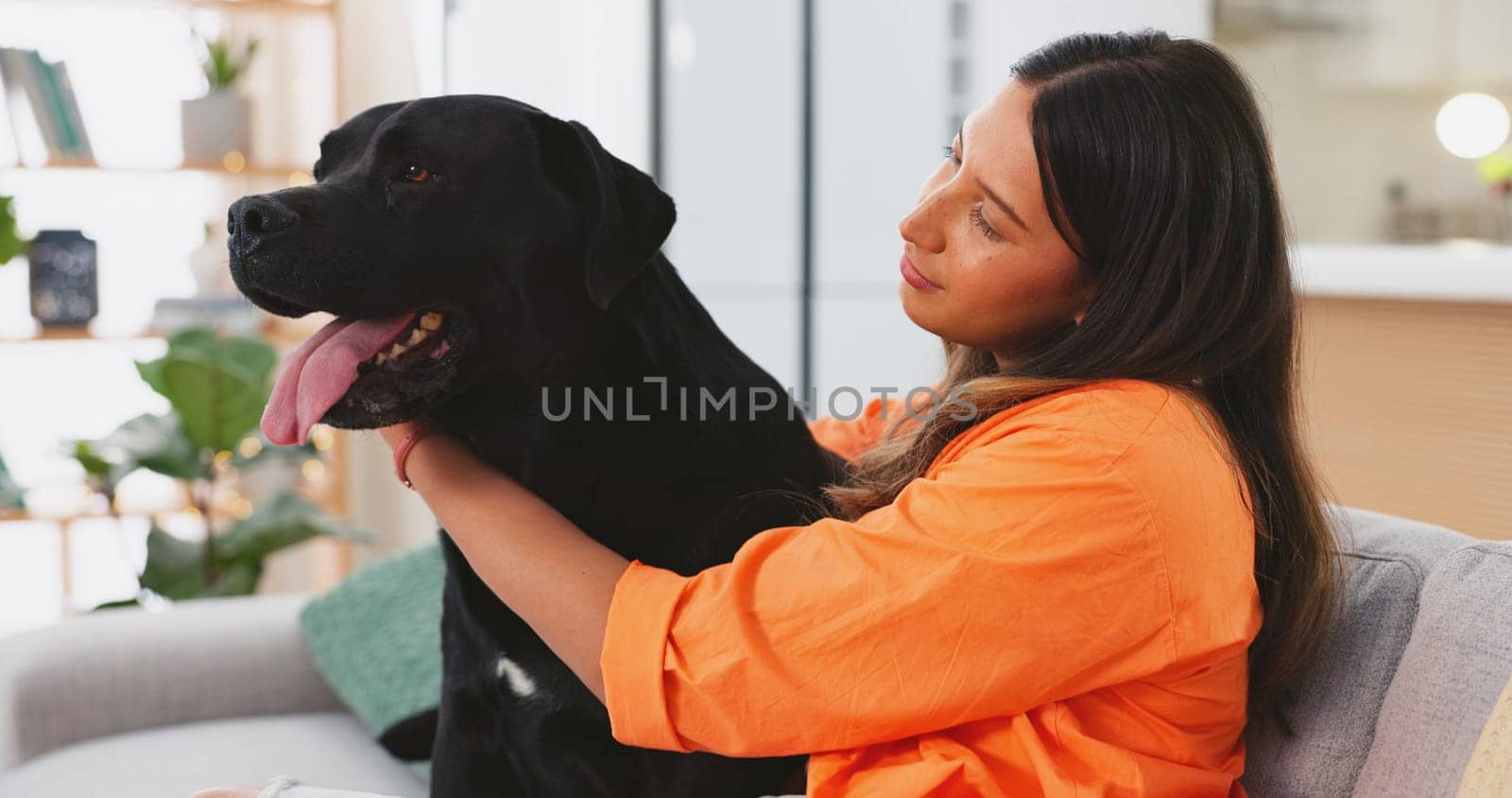 Woman, dog sitting on sofa in living room and fun, love and happy friendship with pets at home. Friends, quality time with pet and happiness, relax and petting animal on couch. Caring for pet. by YuriArcurs