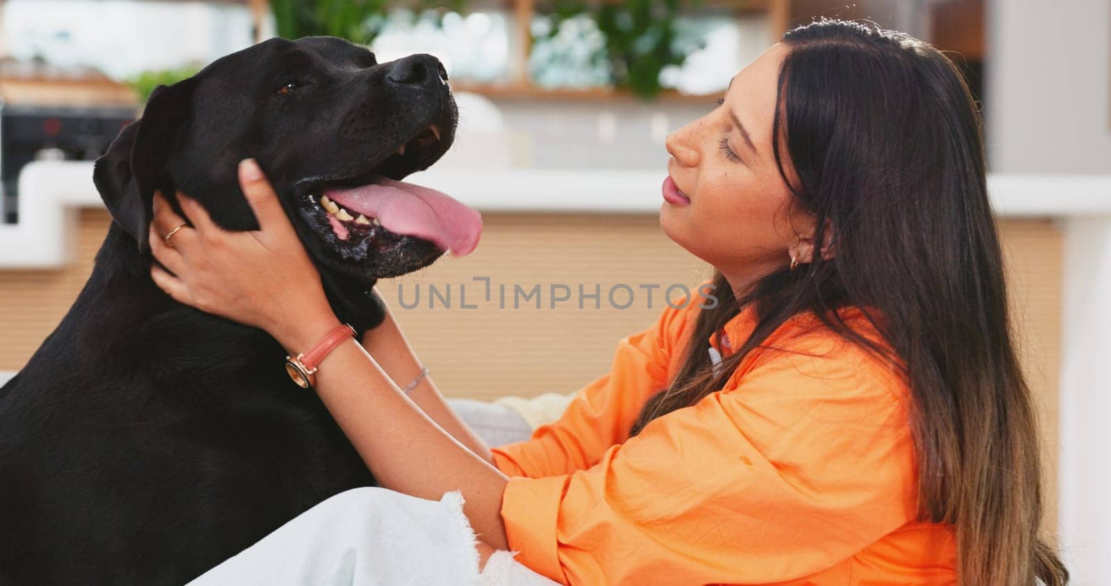 Woman, dog and playing on sofa together in living room, fun, love and happy friendship with pets at home. Friends, quality time with pet and happiness, relax and petting animal on couch in apartment. by YuriArcurs
