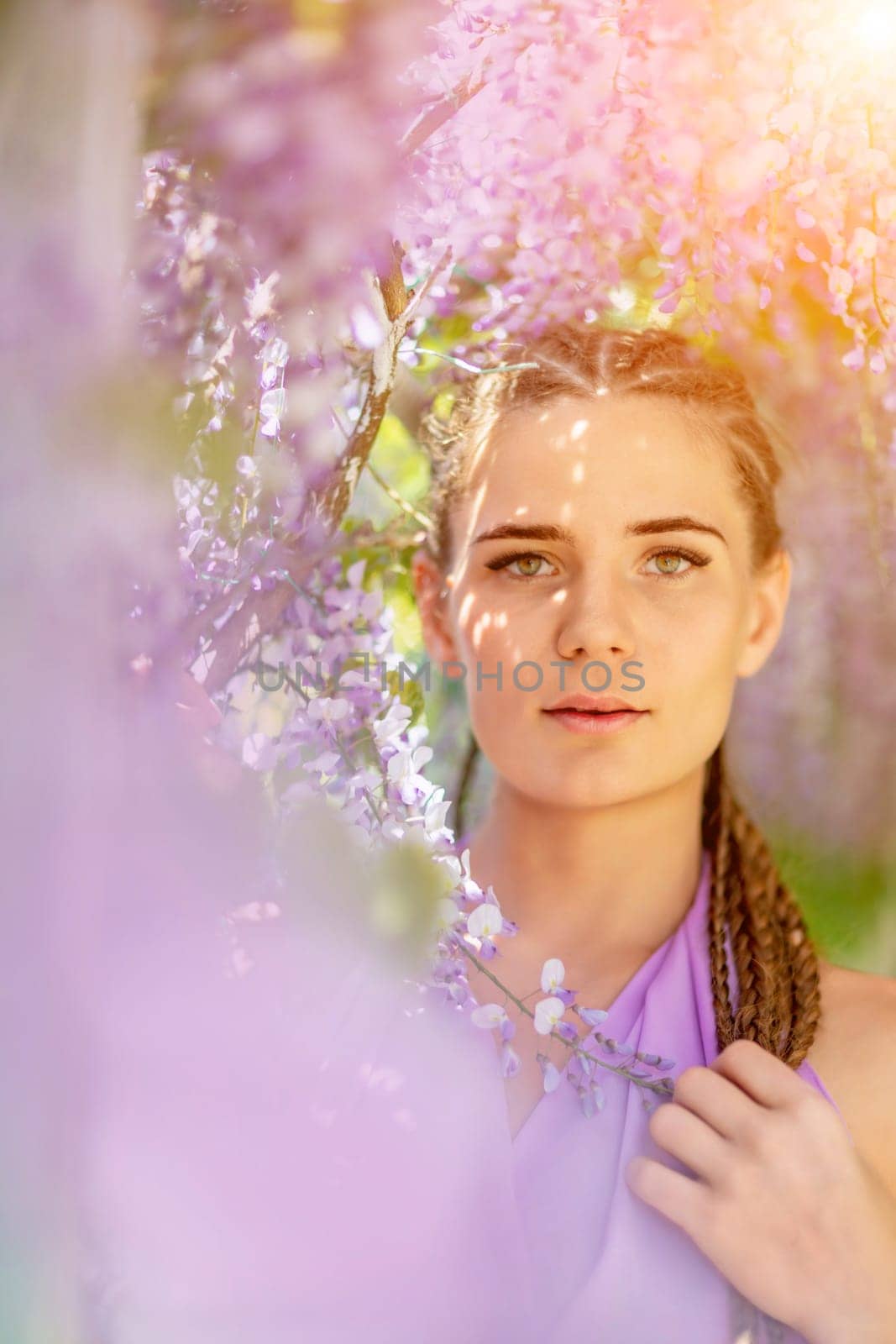 Woman wisteria lilac dress. Thoughtful happy mature woman in purple dress surrounded by chinese wisteria by Matiunina