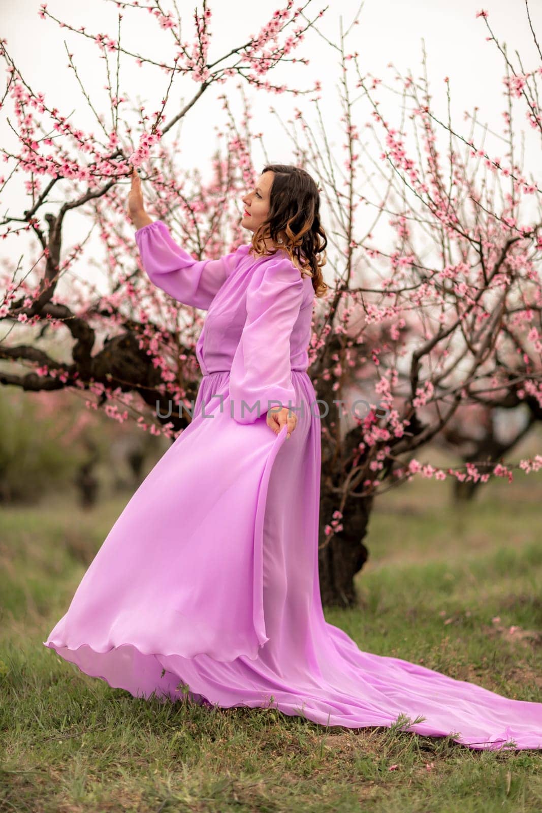 Woman peach blossom. Happy curly woman in pink dress walking in the garden of blossoming peach trees in spring.