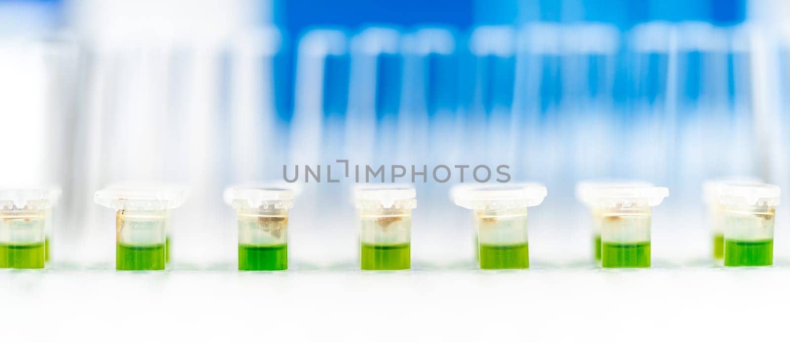 test tubes with chemical solution in the development research laboratory. High quality photo