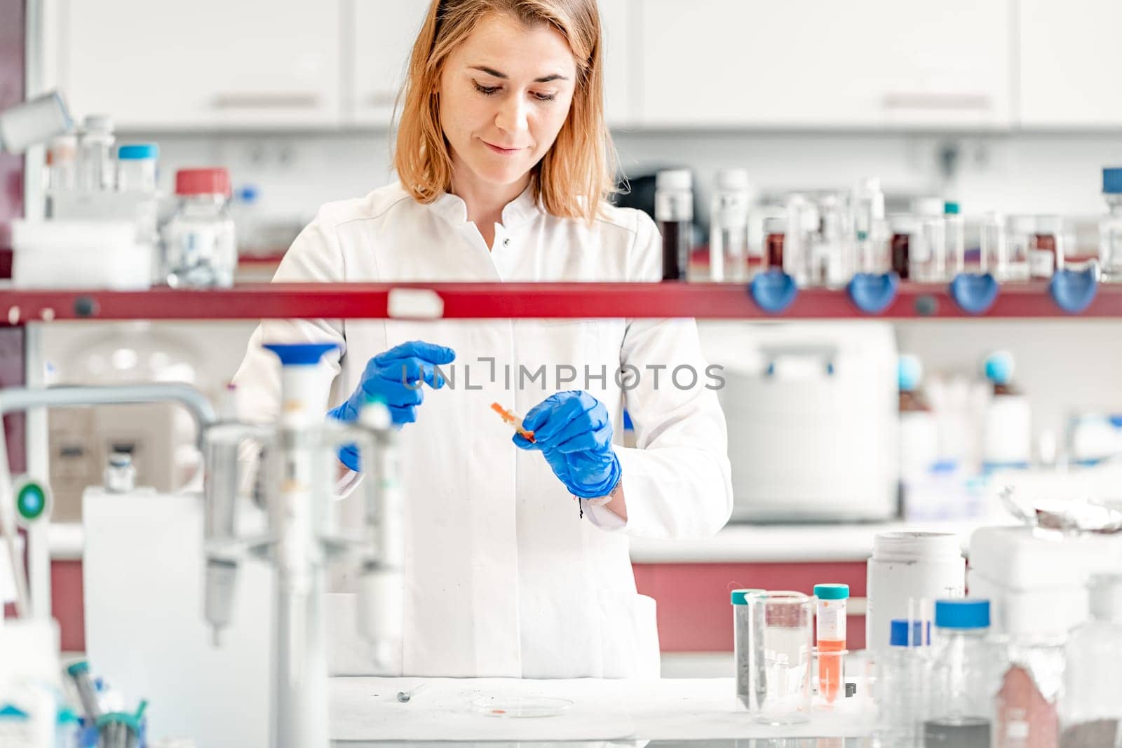biochemical sample test in the laboratory. High quality photo