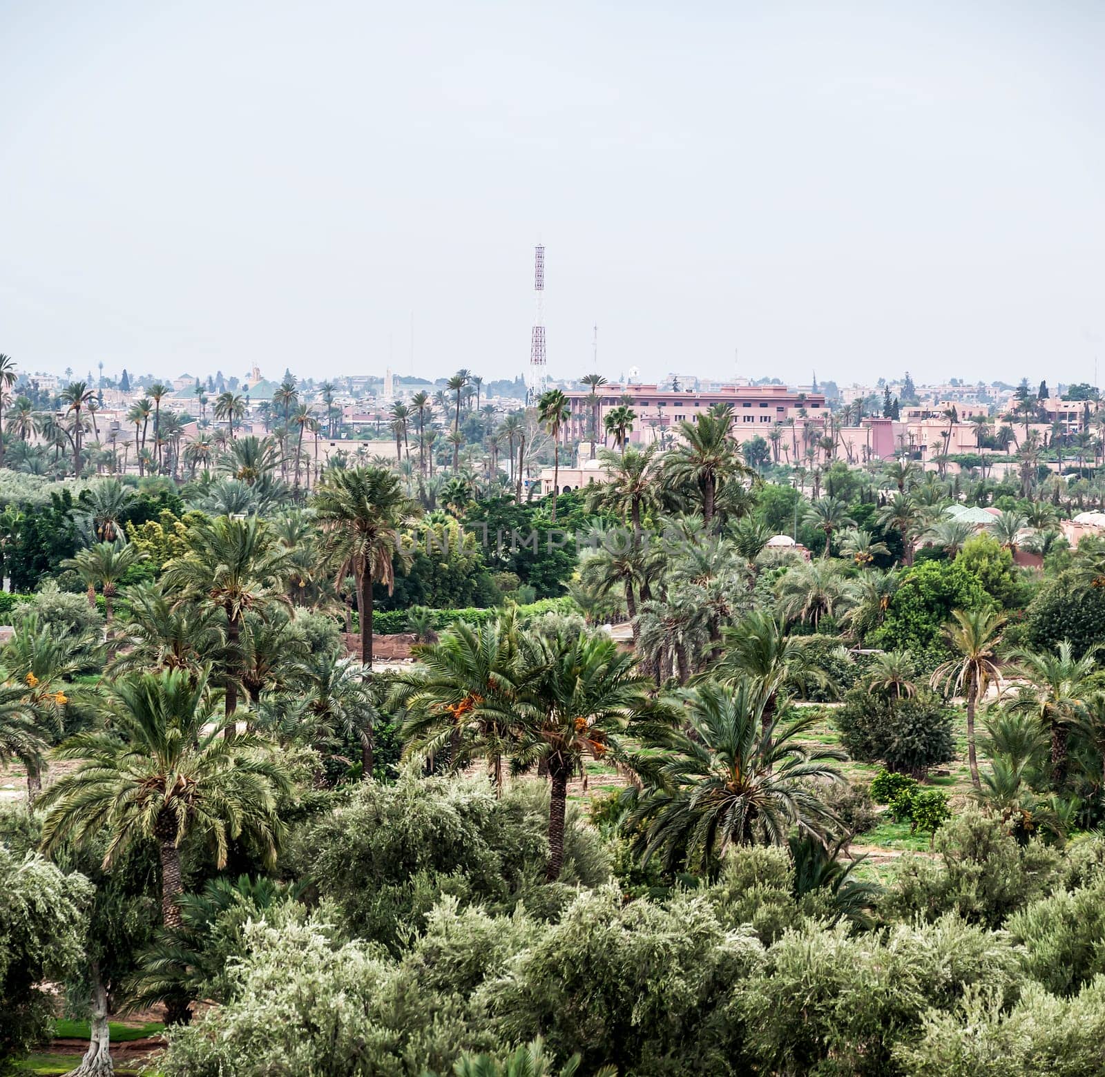 Aerial panoramic view of of marrakech city , morocco by Giamplume